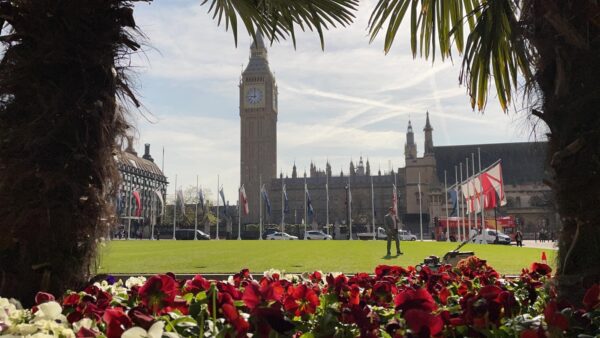 Inturf Case Study: Parliament Square Lawn Installation - Inturf