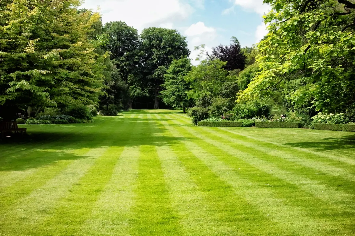 Our Products - Inturf