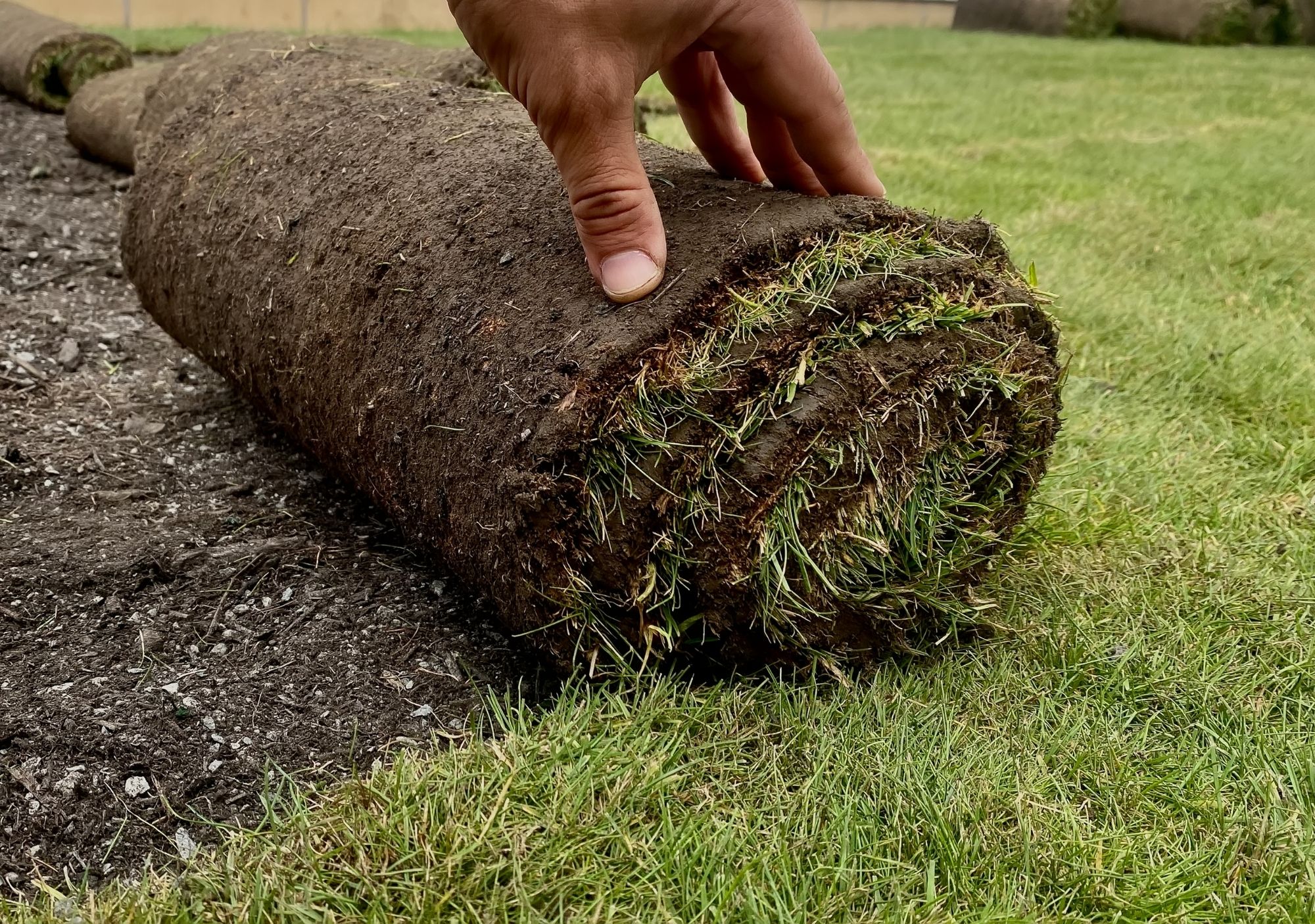 Why Use Fertiliser When Laying Turf - Inturf